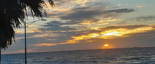 Our Galveston